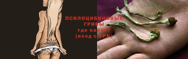 mix Гусиноозёрск